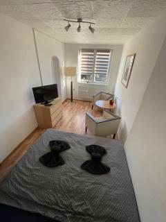 Malý apartmán na Šumavě - Horní Vltavice - 5