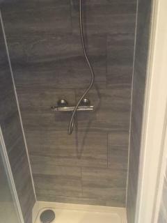 Delightful private 2 bedroom bungalow - London - 3