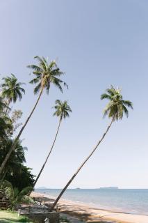 Ban Saithong Beach Resort - Bang Saphan Noi - 1