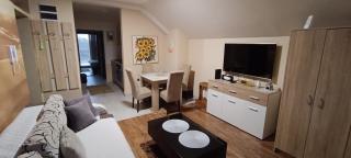 Apartment Vila Sandra - Zlatibor - 1