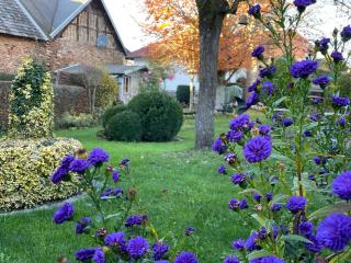 Haus-Hoeppches - Blankenheim - 4