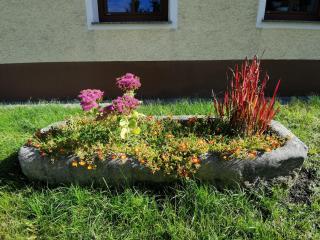 Ferdlhof Ferienwohnung - Ulrichsberg - 4