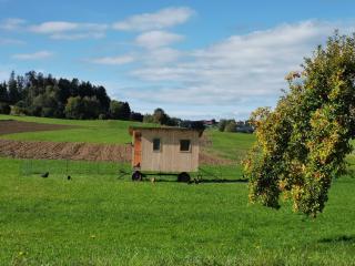 Ferdlhof Ferienwohnung - Ulrichsberg - 2