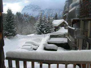 Coquet Studio de 4 personnes aux Carroz - Balcon et Wifi - Les Carroz d'Araches - 1