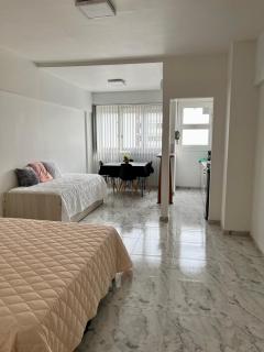Departamento Reciclado en Mar del Plata - Mar del Plata - 9