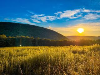 Mountain Brook Cabin - 3