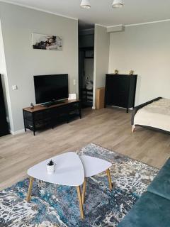 1-bedroom loft in Siena Tirgus - Riga - 8