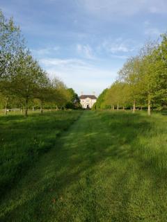 Summergrove House - 9
