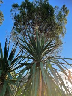 Le Pré aux Moines - 2