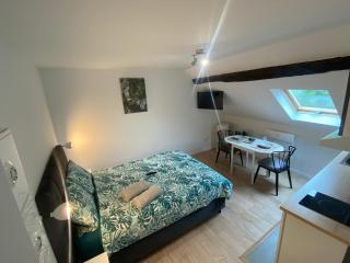 Cattleya location - Vierzon - 5