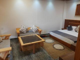Trimounts-A Boutique Hotel & Wellnes Center in Tirthan Valley - Banjār - 1