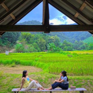 นากลางดอย Naklangdoi - 2