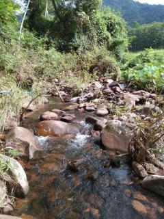 นากลางดอย Naklangdoi - 8