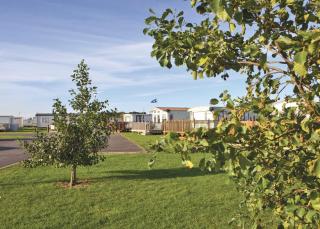 The Chase Holiday Park - Winthorpe - 4