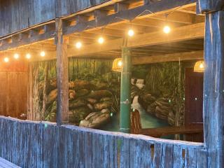 Guest House Great Hostels Amazon - Puyo - 9