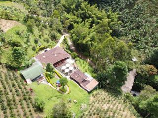 Hotel Orillas del Pizano - Jardin - 9