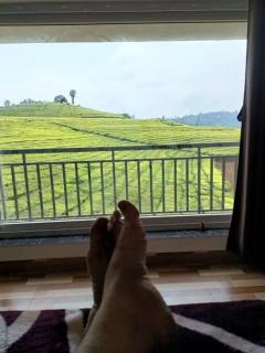 Tea Estate view stay - 1