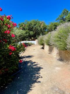 Casa Pollard - Marvão - 6