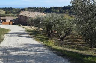 Monna Terra B&B - Fermo - 8