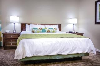 Club Wyndham Star Island - Kissimmee - 2