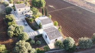 Orecchie di Lepre - 1