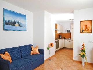 Apartment Sonnenau - Zell am Ziller - 2