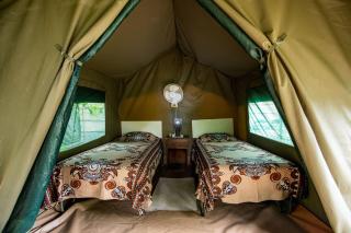 Victoria Falls Backpackers Lodge - Victoria Falls - 1