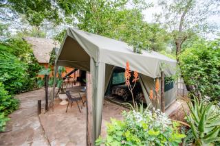 Victoria Falls Backpackers Lodge - Victoria Falls - 3