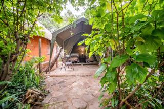 Victoria Falls Backpackers Lodge - Victoria Falls - 4