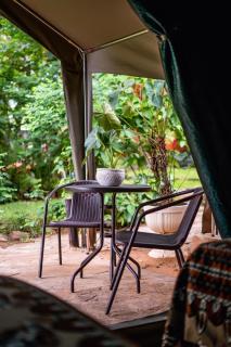 Victoria Falls Backpackers Lodge - Victoria Falls - 5