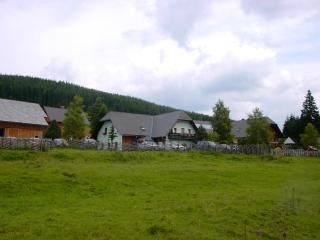 Pension Holzmeister - Sankt Kathrein am Offenegg - 4