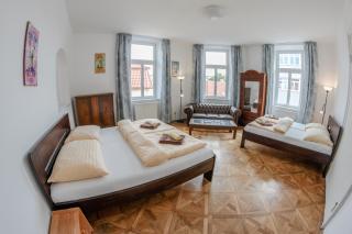 Cuba Bar & Hostel - Budweis - 8