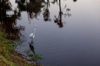 63 Shell Ring Road - Hilton Head Island - 2