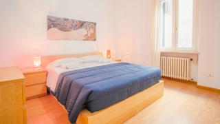 Historical Filippini Flat - Italian Homing - Verona - 9