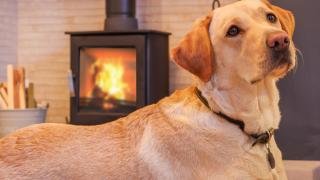 Nala's Nest - Hexham - 6