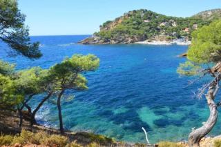 Grand Studio 30m avec jardin proche des plages - Sausset-les-Pins - 8