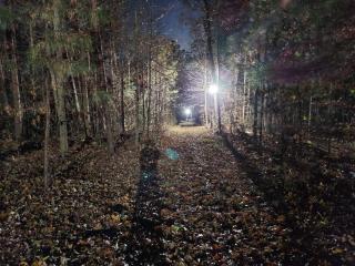 Dawsonville Retreat - Dawsonville - 1