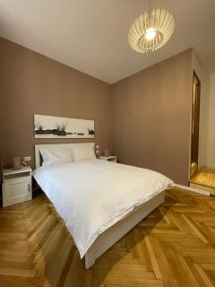 Schei Central Studios in the heart of Brasov - Braşov - 0