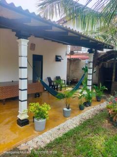 Ruk Tree, Midigama, Weligama - Midigama East - 8