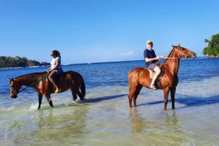 Amazing Location! Walk to town, beach & dinner - PAYMENT REQUIRED TO RESERVE - 3