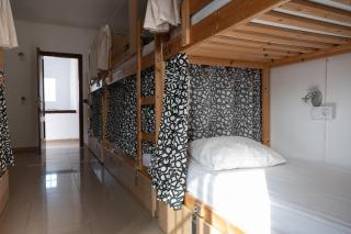 Drago Hostel - Icod de los Vinos - 4