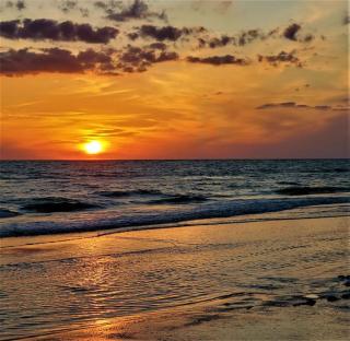 Dolphin Watch - Clearwater Beach - 0
