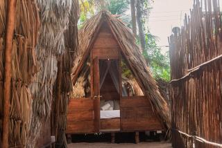 Mapache Hostel & Camping - Isola Holbox - 0