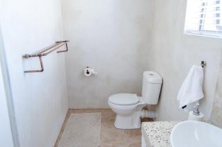 Red Bishop - Birds, Beach & Beauty - 3