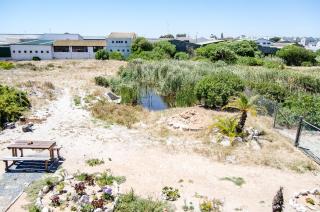 Red Bishop - Birds, Beach & Beauty - Langebaan - 8