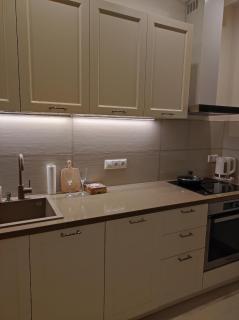 Lux apartment, near metro Vasylkivska - Kiev - 2