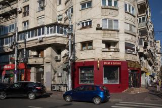 Lion's Unirii Apartment - Bucarest - 9
