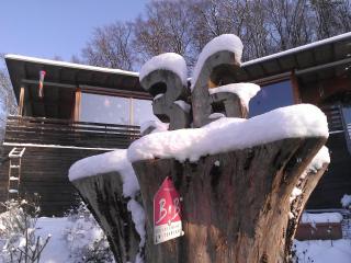 B&B Sunnesite Pratteln - Pratteln - 1