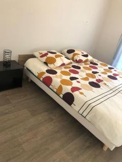 Superbe Appartement en plein centre ville. - La Roche-sur-Yon - 6