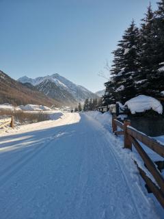 La Bastiana Apartments - Livigno - 1